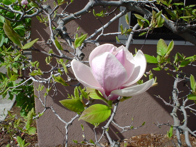 DSC02699.JPG
