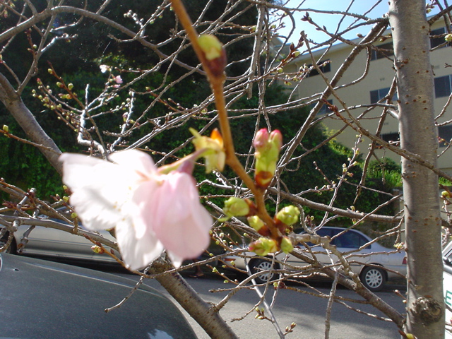DSC02688.JPG