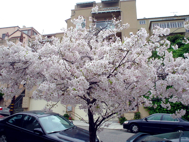 DSC02692.JPG