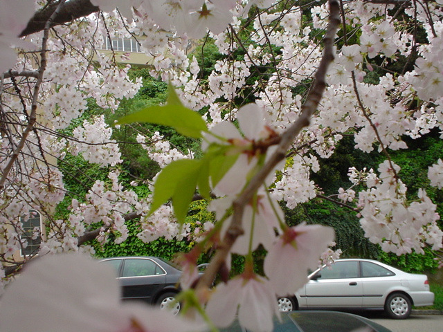 DSC02694.JPG
