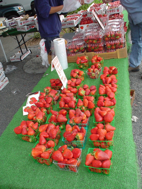 DSC02696.JPG