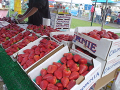DSC02686.JPG