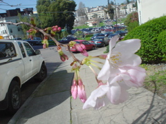 DSC02687.JPG