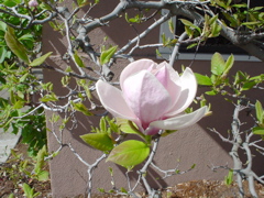 DSC02699.JPG