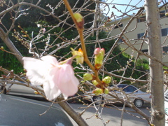 DSC02688.JPG