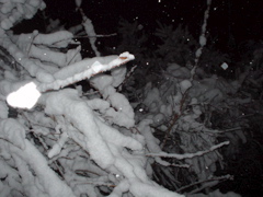 DSC02721.JPG