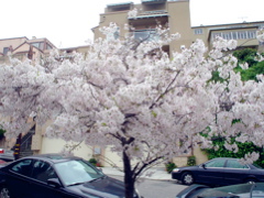 DSC02692.JPG