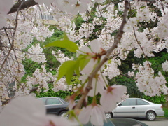 DSC02694.JPG