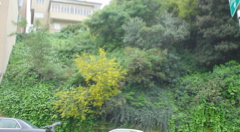 DSC02695.JPG