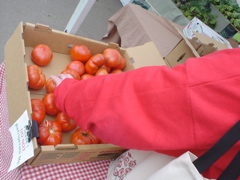 DSC02697.JPG