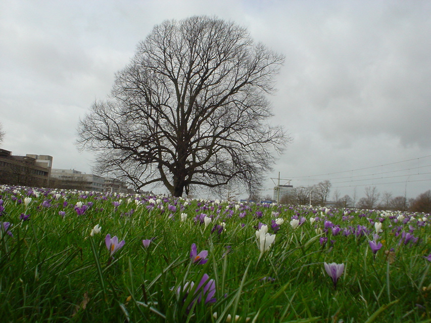 DSC05745.JPG