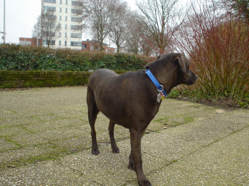 DSC05796.JPG