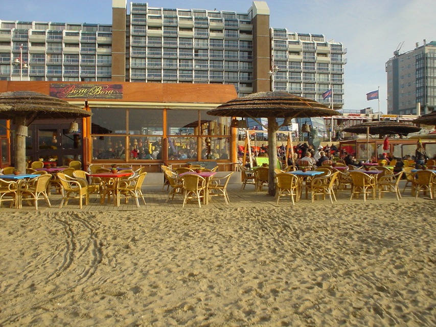 DSC05849.JPG