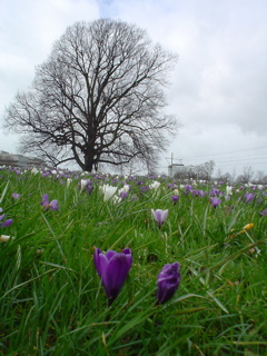 DSC05743.JPG