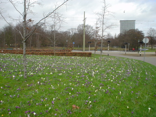 DSC05747.JPG