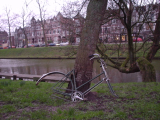 DSC05778.JPG