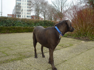 DSC05796.JPG