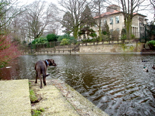 DSC05798.JPG