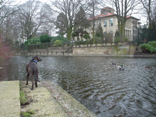 DSC05800.JPG