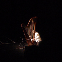 DSC05809.JPG