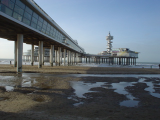 DSC05829.JPG
