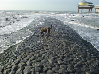 DSC05835.JPG