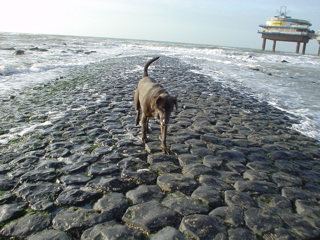 DSC05836.JPG