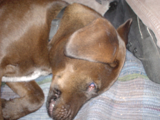 DSC00389.JPG