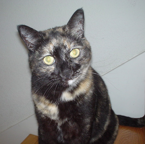 DSC00633.JPG