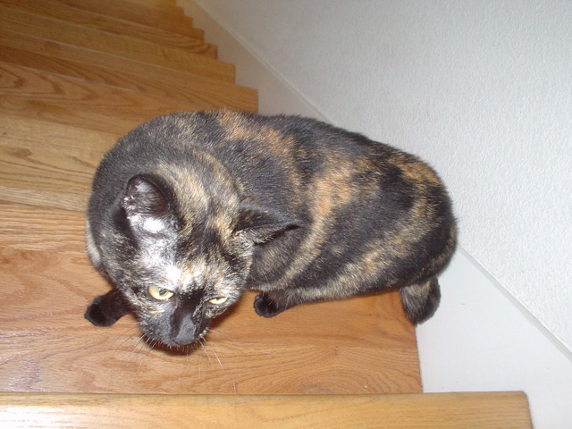 DSC00634.JPG
