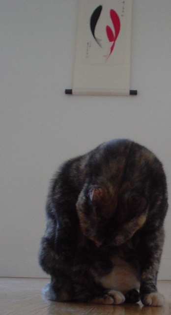DSC00635.JPG