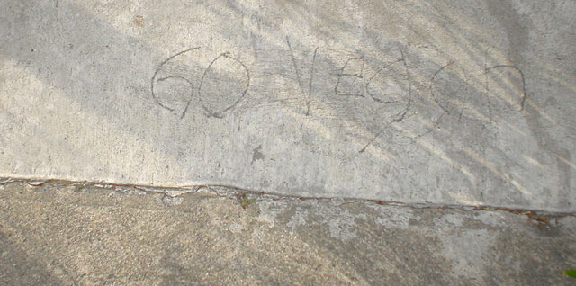 DSC00721.JPG