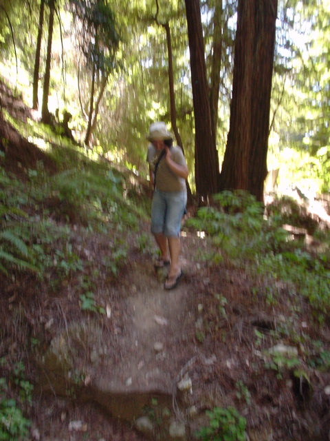 DSC00800.JPG