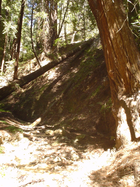 DSC00801.JPG