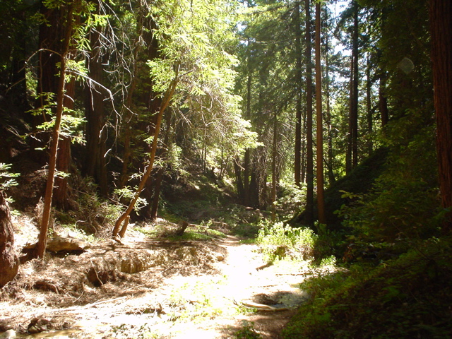 DSC00804.JPG