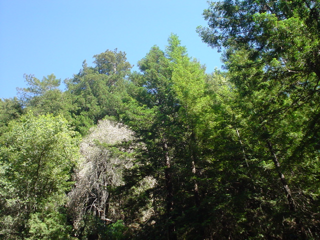 DSC00827.JPG