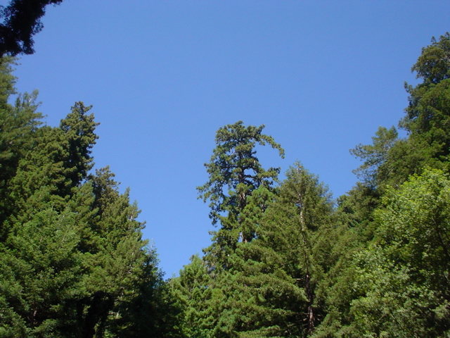 DSC00828.JPG