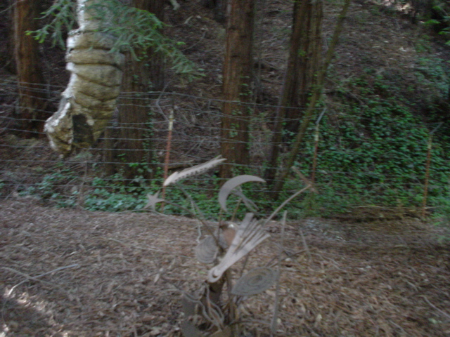 DSC00830.JPG