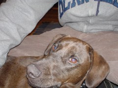 DSC00387.JPG