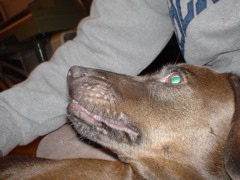 DSC00388.JPG