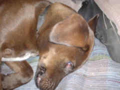 DSC00389.JPG