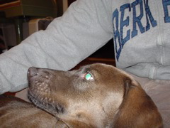 DSC00391.JPG
