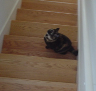 DSC00628.JPG
