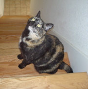 DSC00631.JPG