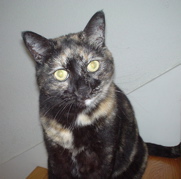 DSC00633.JPG
