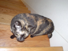 DSC00634.JPG