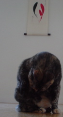 DSC00635.JPG