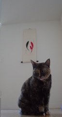 DSC00636.JPG