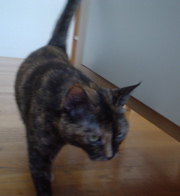 DSC00639.JPG