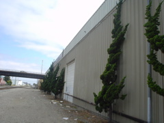 DSC00649.JPG
